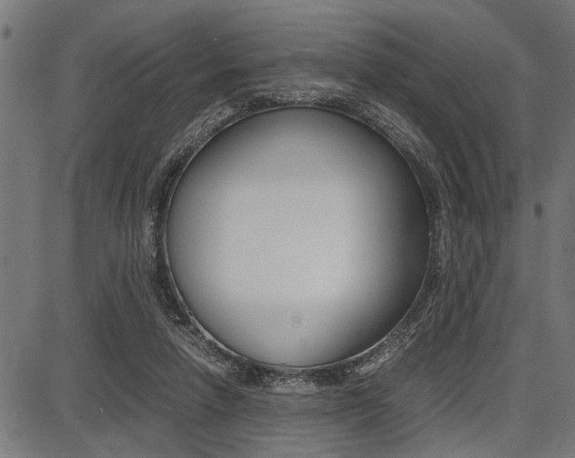 X0000087670258200705040733