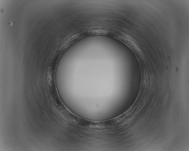 X0000087670259200705040733