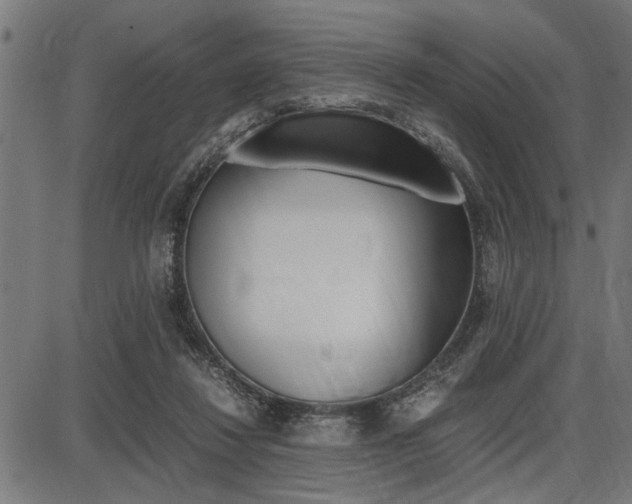 X0000087670260200705040733