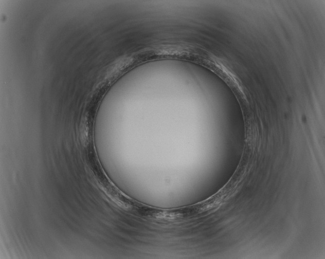 X0000087670261200705040733