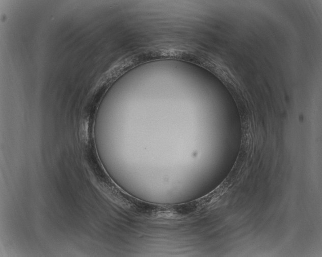 X0000087670262200705040733