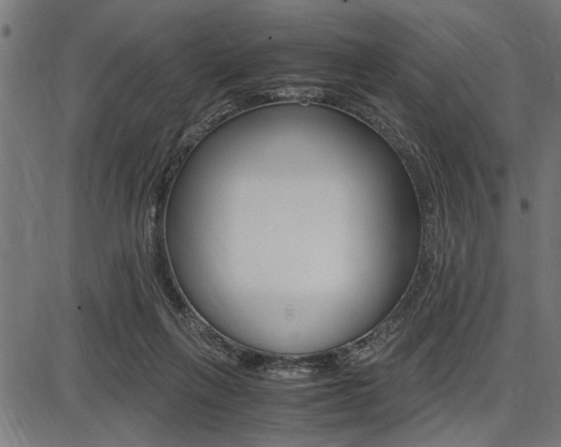 X0000087670263200705040733