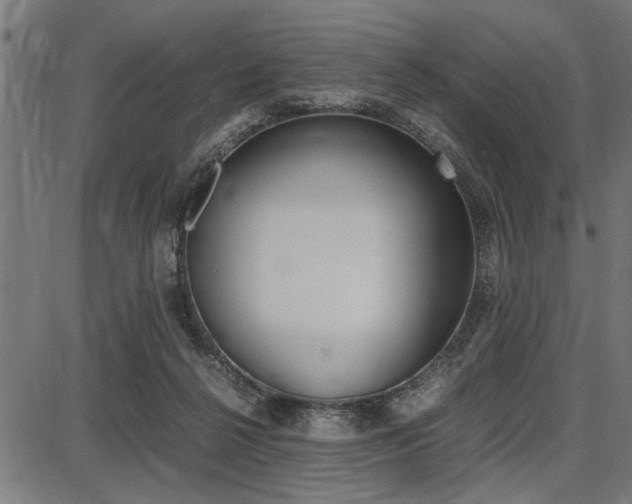 X0000087670264200705040733