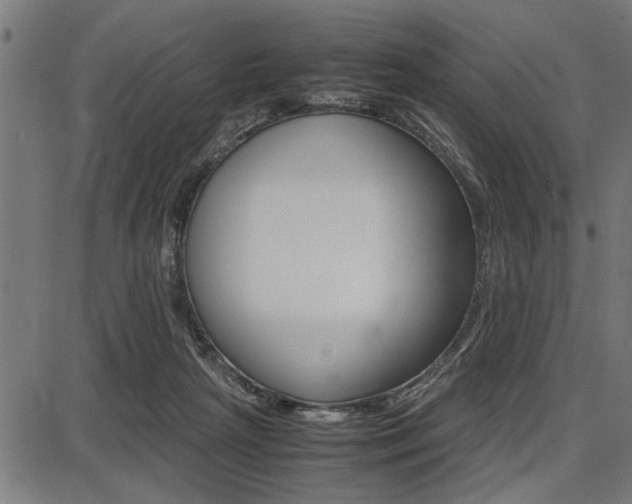 X0000087670265200705040733