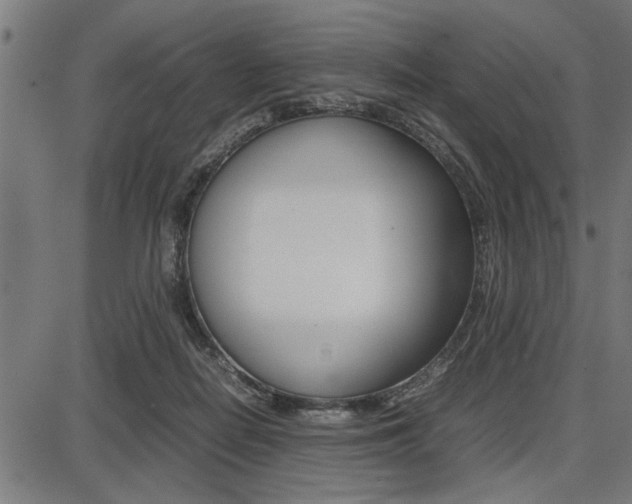 X0000087670266200705040733