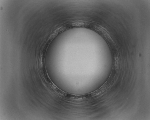 X0000087670267200705040733