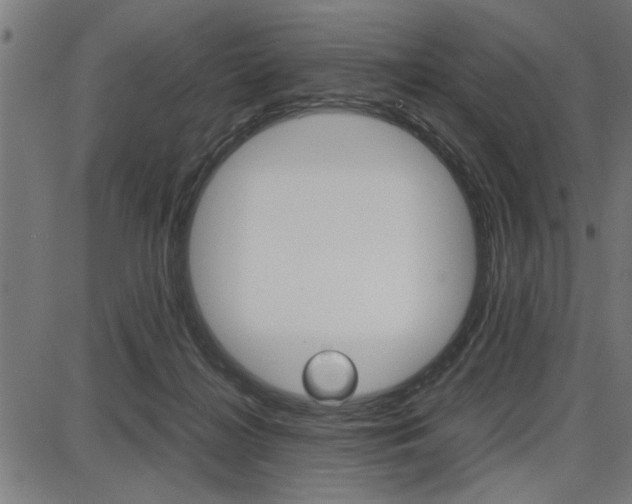 X0000087670268200705040733