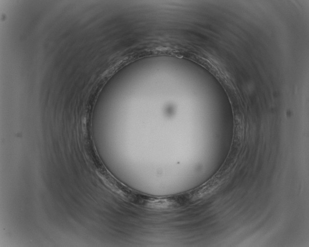 X0000087670269200705040733