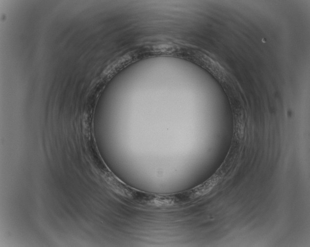 X0000087670270200705040733