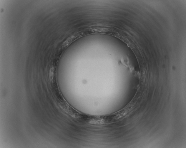 X0000087670271200705040733