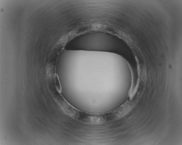 X0000087670272200705040733