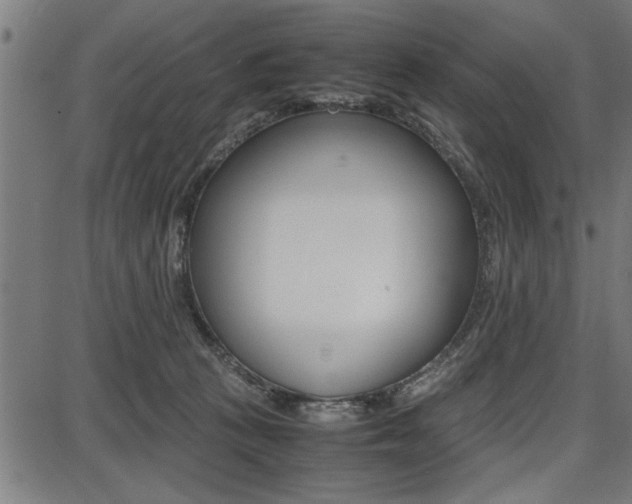 X0000087670273200705040733