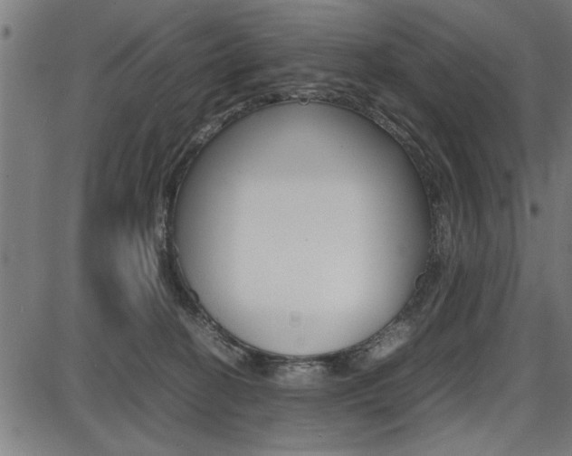 X0000087670274200705040733