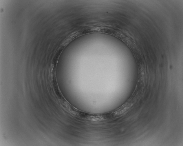 X0000087670275200705040733