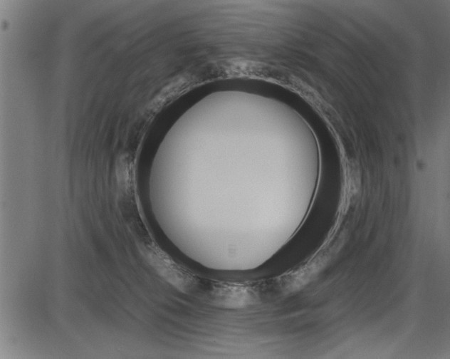 X0000087670276200705040733