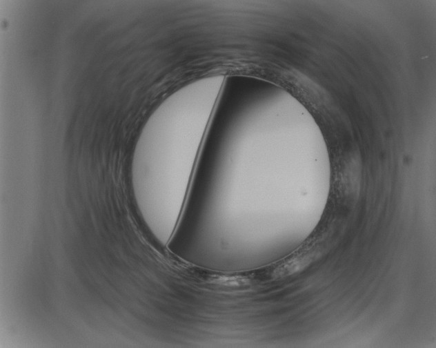 X0000087670277200705040733