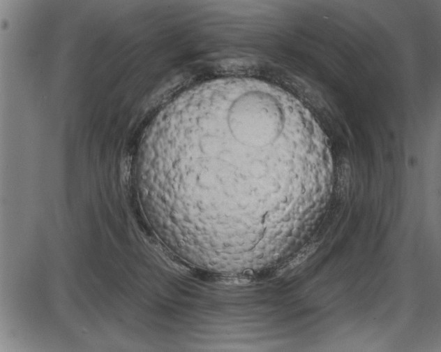 X0000087670278200705040733