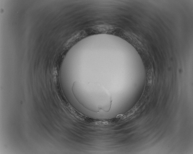 X0000087670279200705040733