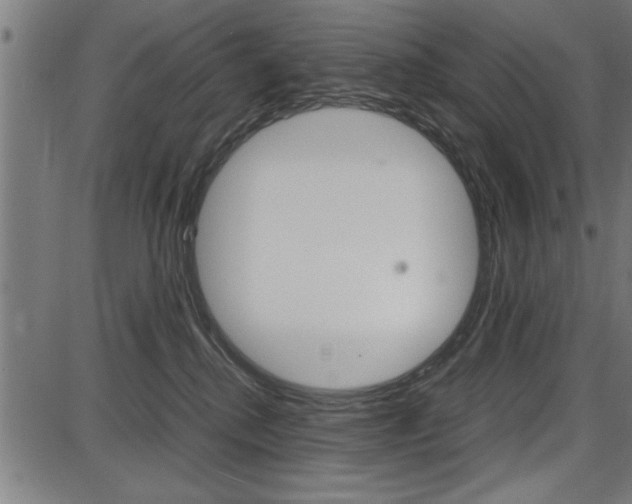 X0000087670280200705040733