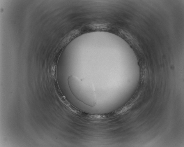 X0000087670281200705040733