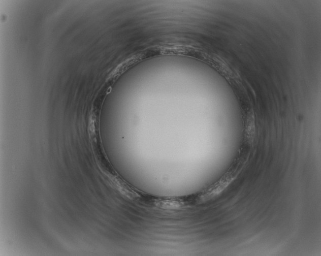 X0000087670282200705040733