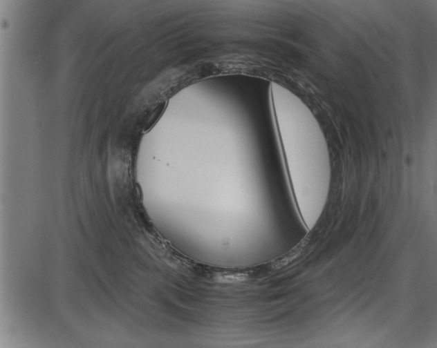 X0000087670283200705040733