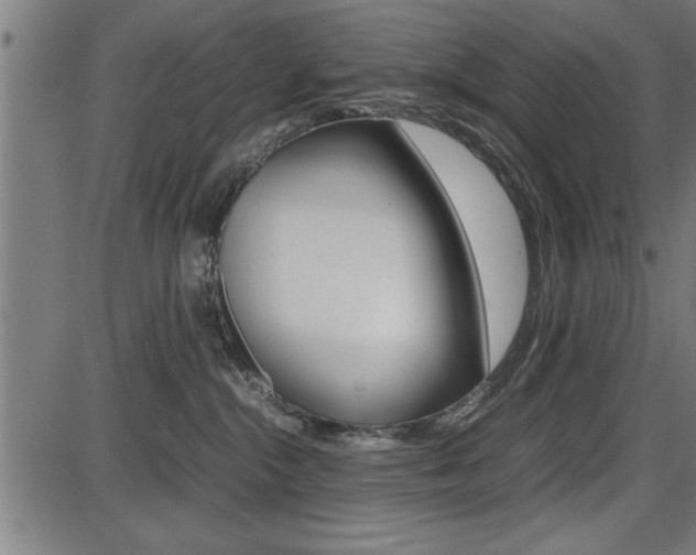 X0000087670284200705040733