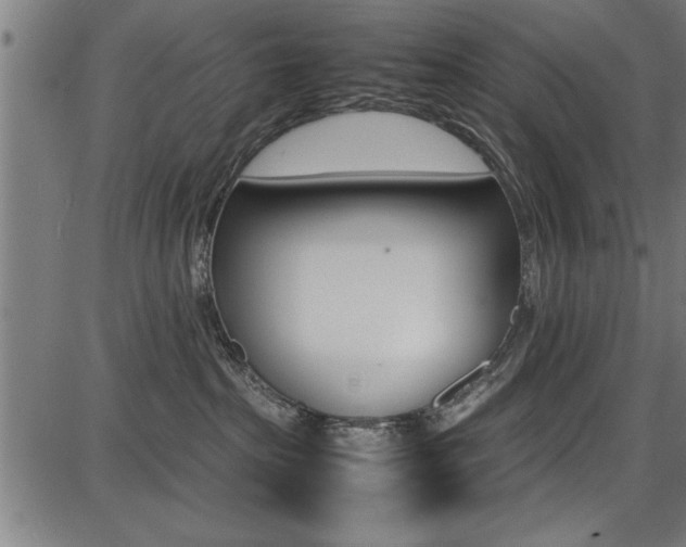 X0000087670285200705040733