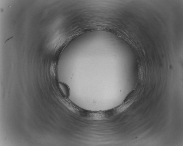 X0000087670286200705040733