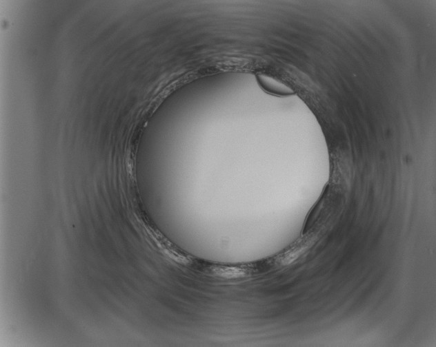 X0000087670287200705040733