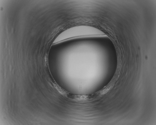 X0000087670288200705040733