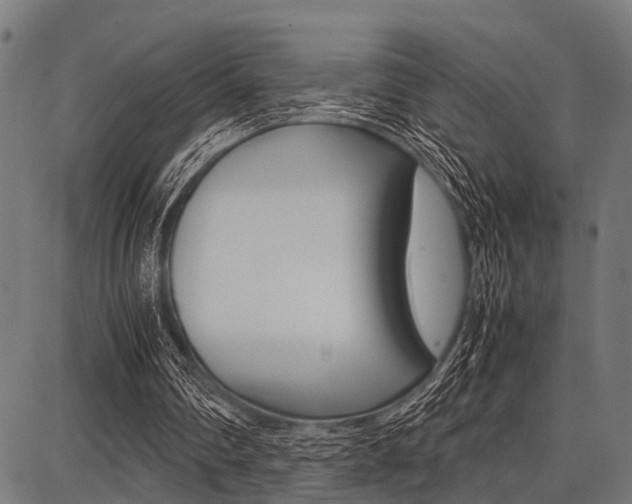 X0000087670290200705040732