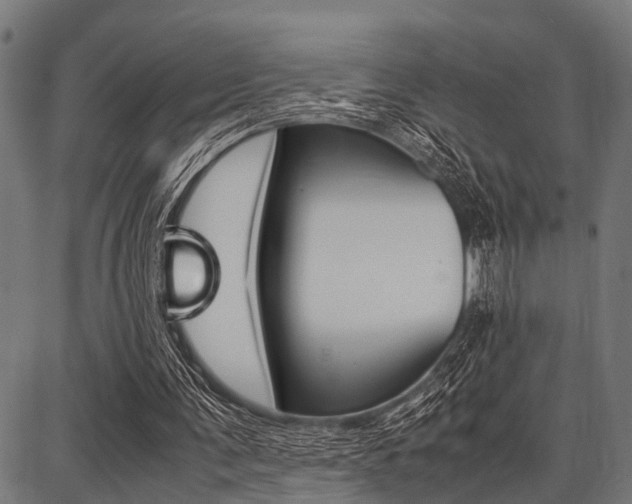 X0000087670291200705040732