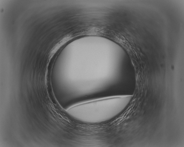 X0000087670292200705040732