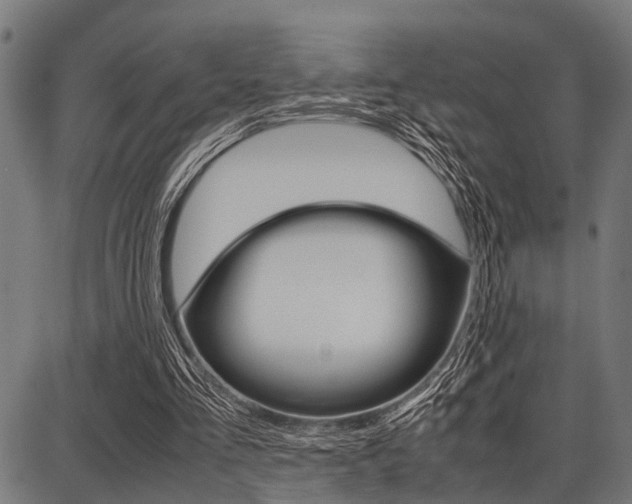 X0000087670293200705040732