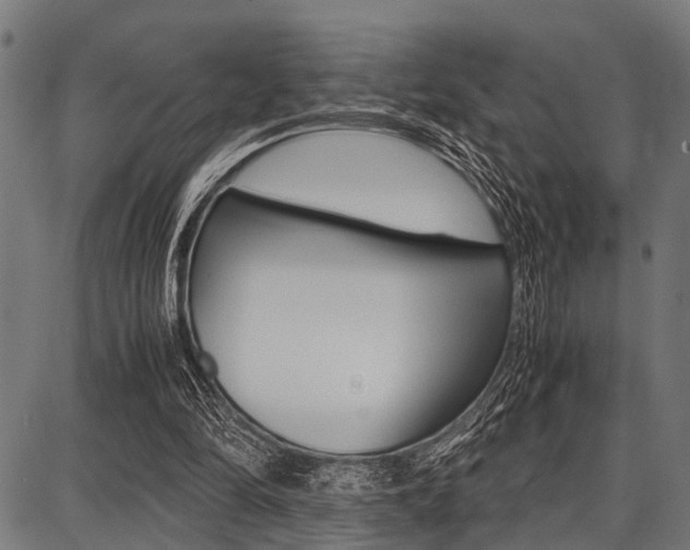 X0000087670294200705040732