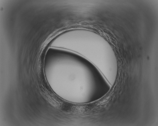 X0000087670295200705040732