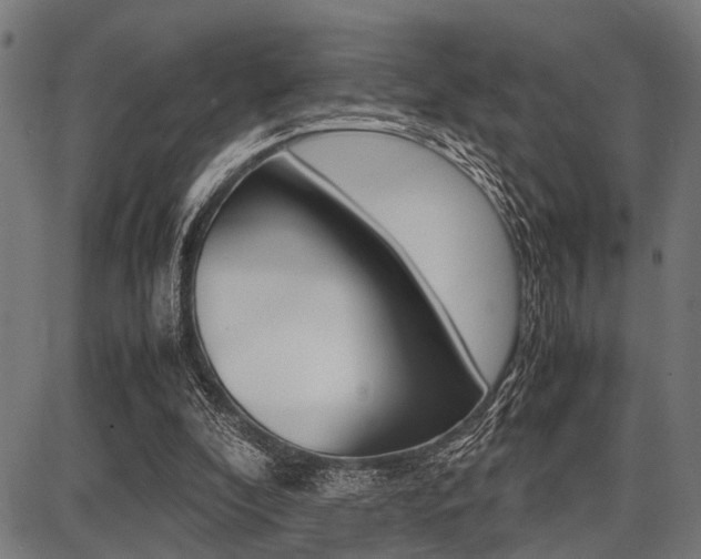 X0000087670296200705040732