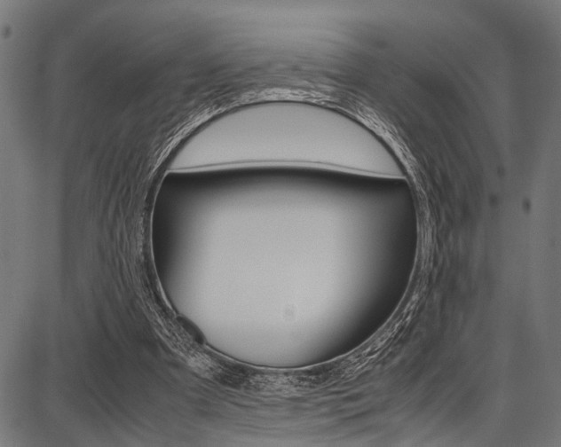 X0000087670297200705040732