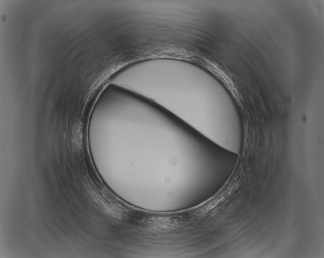 X0000087670298200705040732