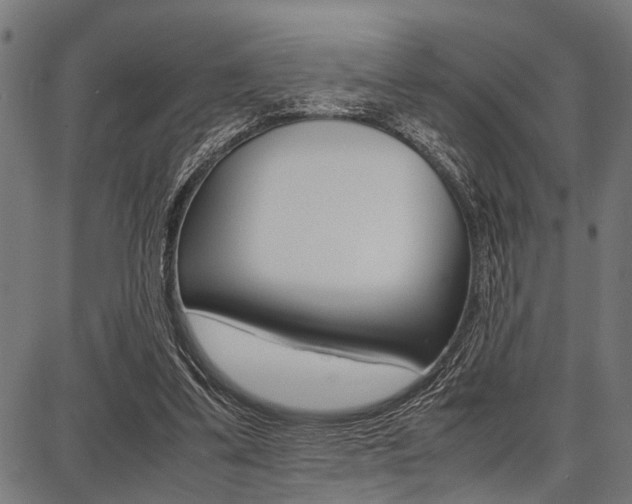 X0000087670299200705040732