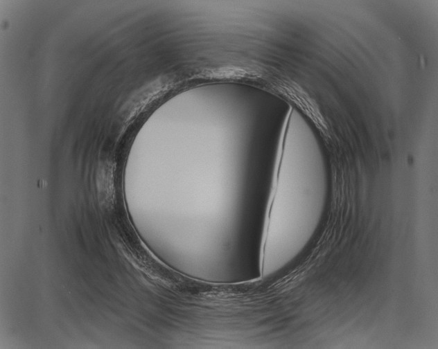 X0000087670300200705040732