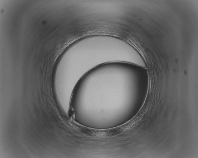 X0000087670301200705040732