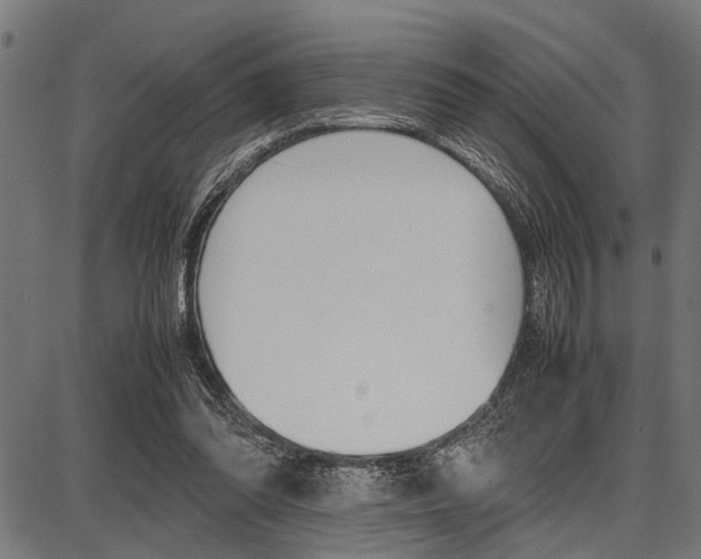 X0000087670302200705040732