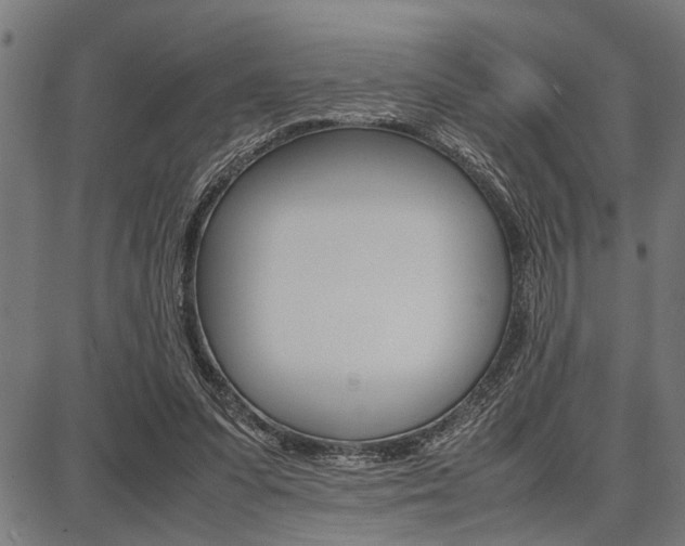 X0000087670303200705040732