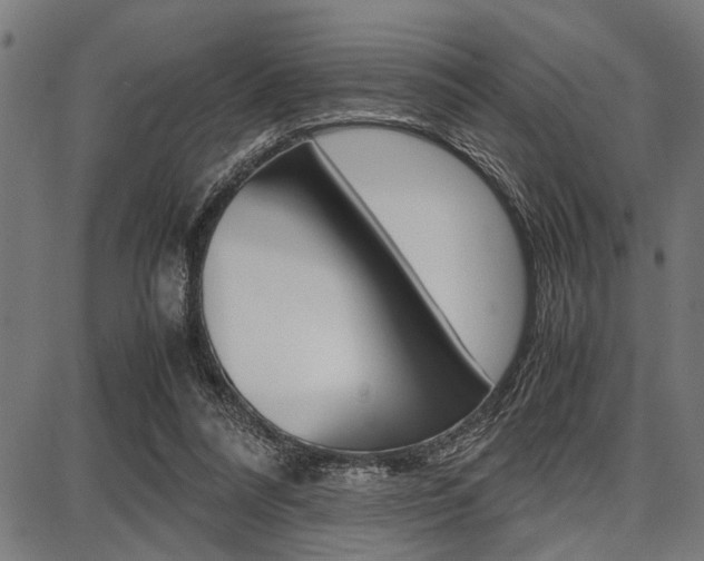 X0000087670304200705040732