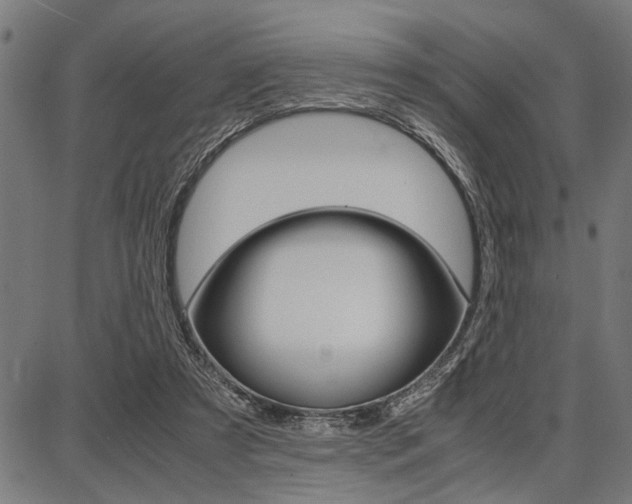 X0000087670305200705040732