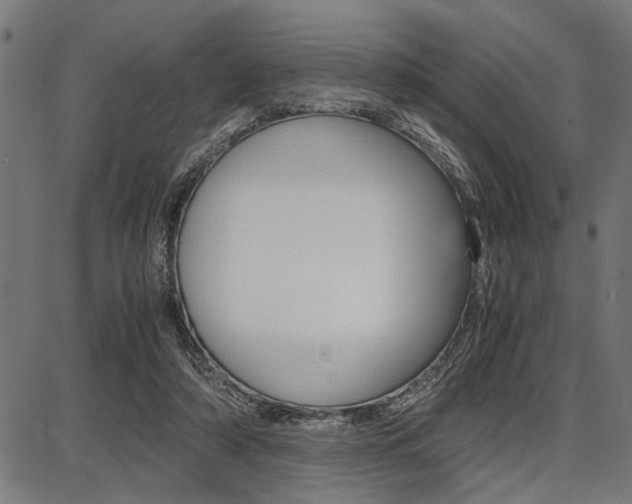 X0000087670306200705040732