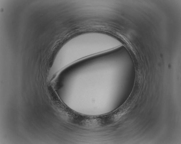 X0000087670307200705040732