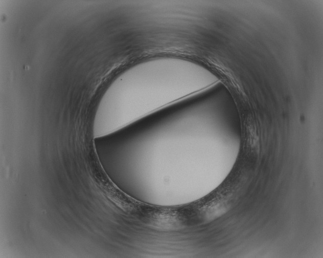 X0000087670308200705040732